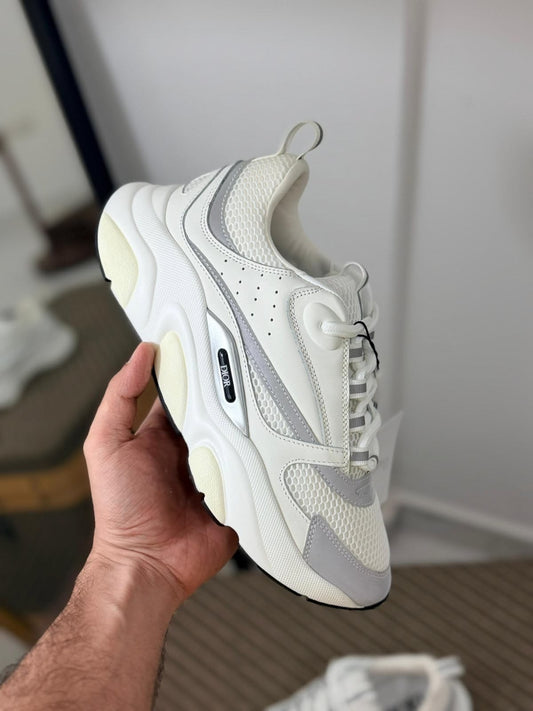 DIOR B22 white